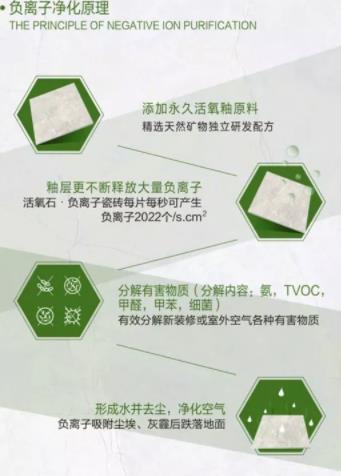 1556157997423109.jpg 2.jpg